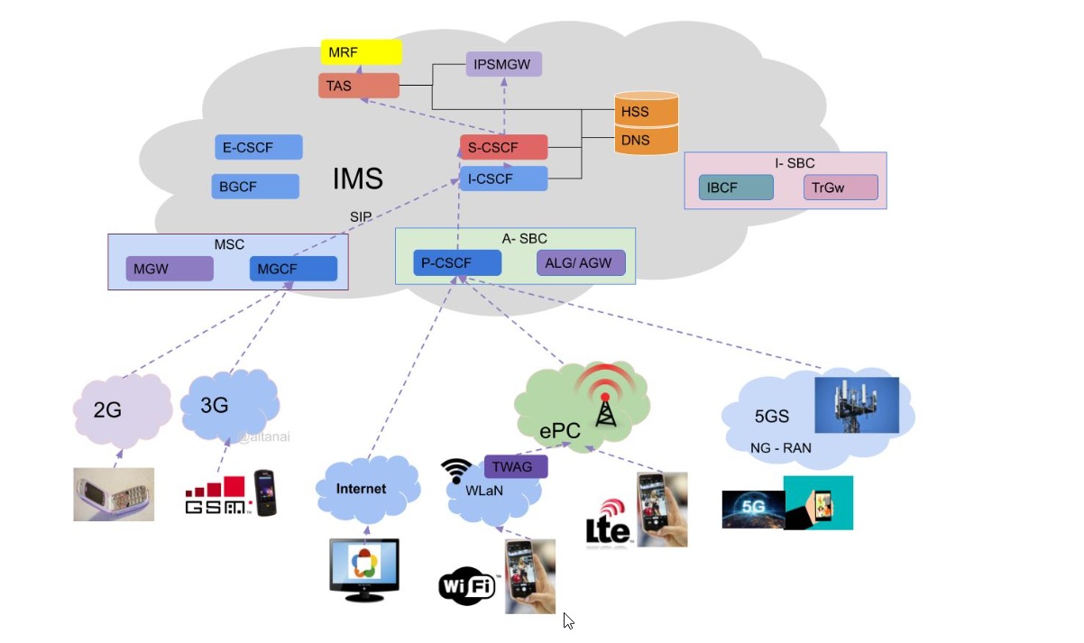 IMS schema