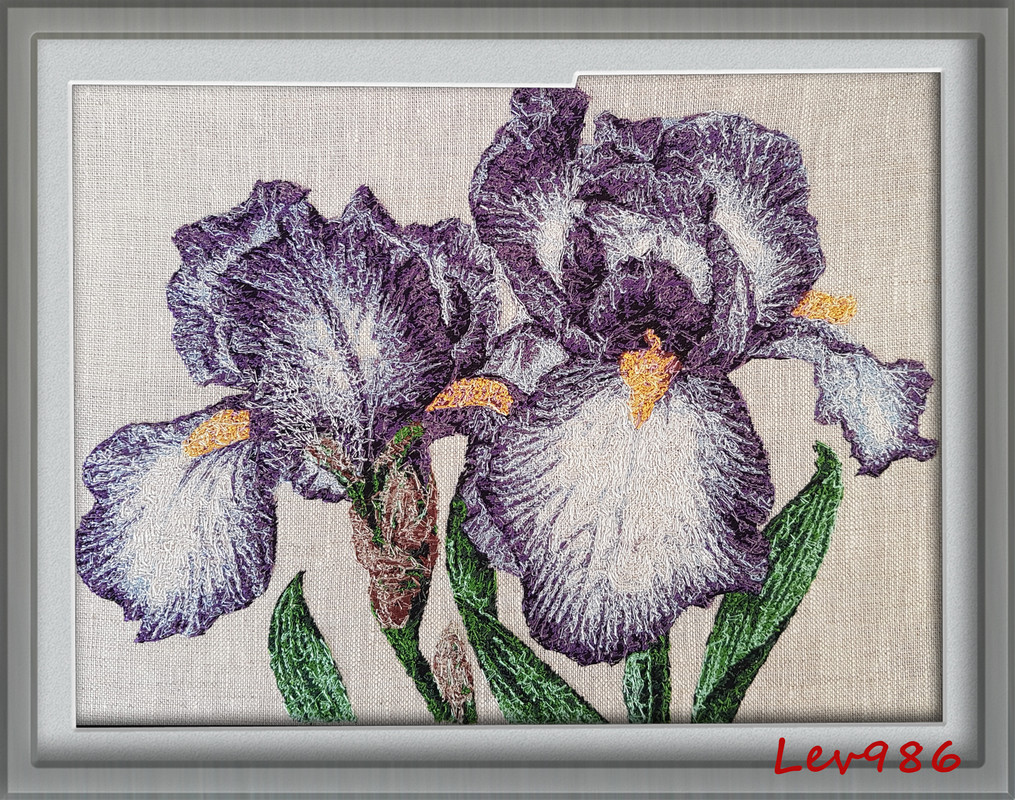 Ирис в рамке