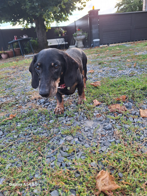 [Image: 20240809-193652.jpg]