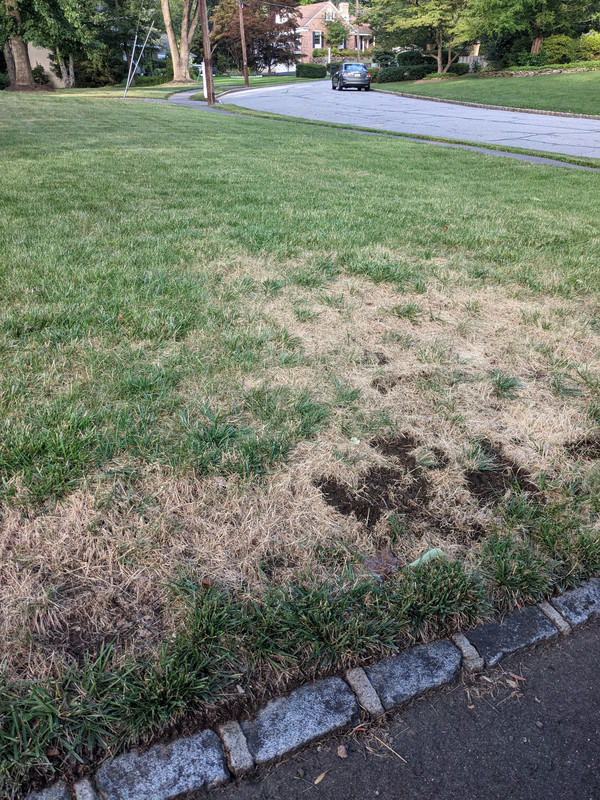 PXL_20210819_221106725