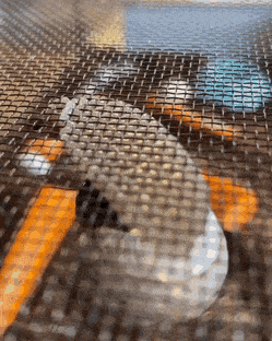 Wow-GIFs-10
