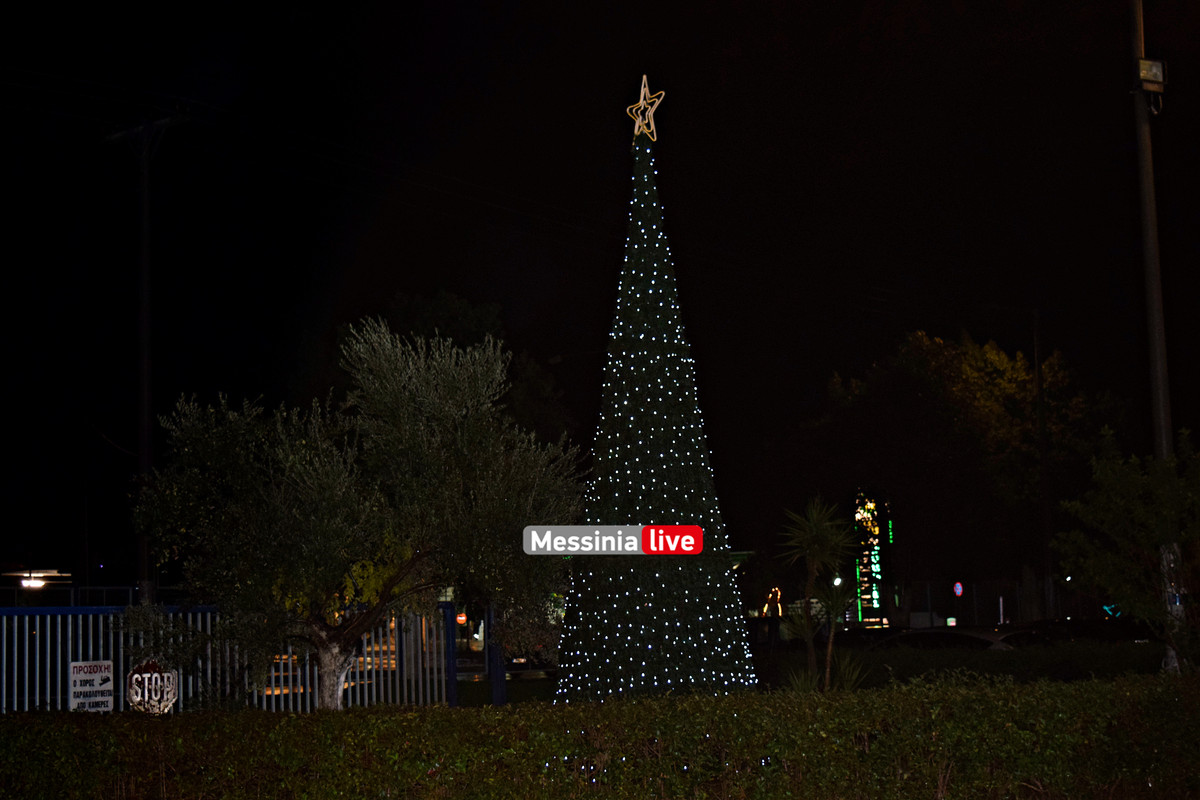 ΔΙΟΚΛΗΣ ΔΕΝΤΡΟ DSC_0006
