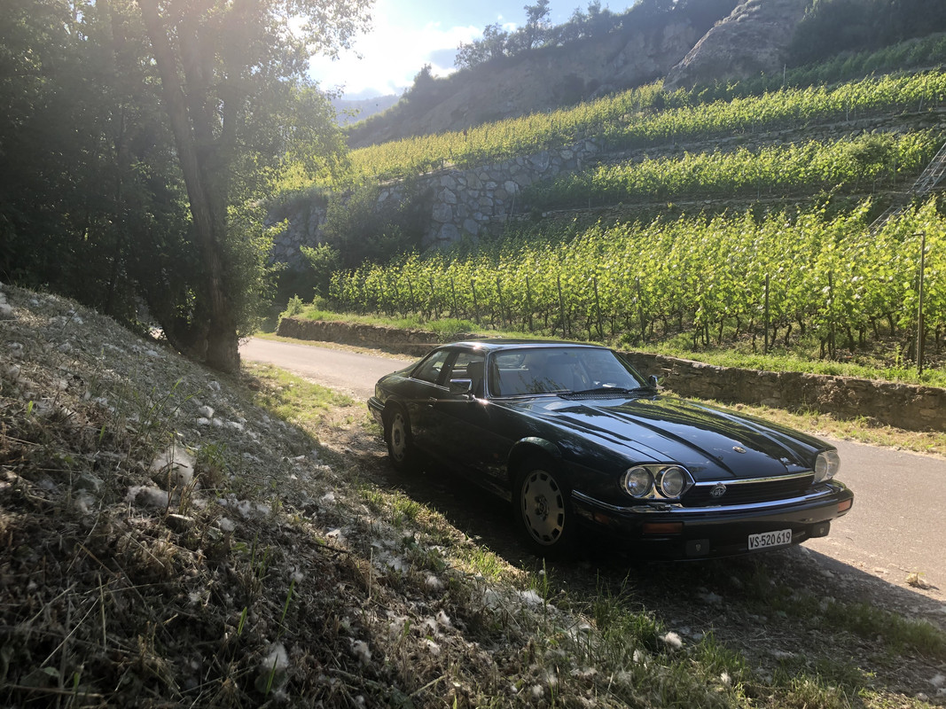 9CB9925B-142D-4A07-AAE5-E89983EBBAEA