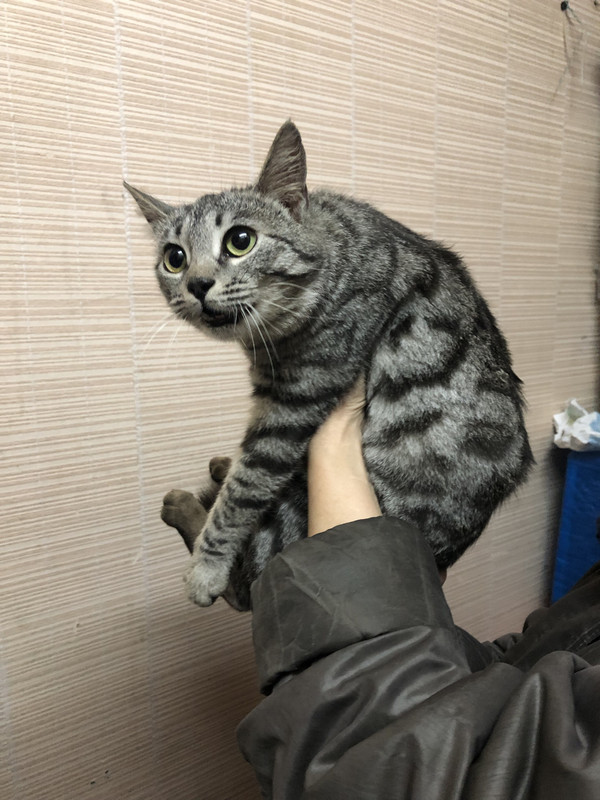 AE575508-58EA-4F9C-B22A-1BFB663E4C60