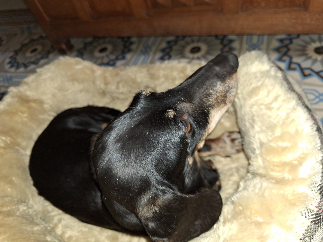 [Image: 20240609-142917.jpg]