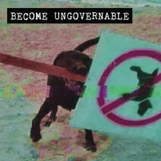 1742816983790894.jpg