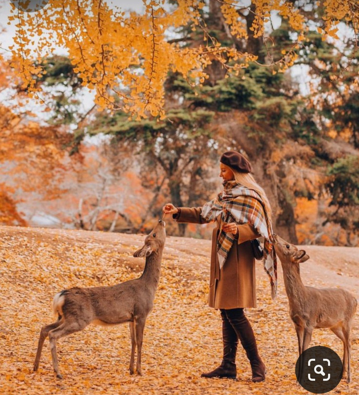 Screenshot_20231130_234735_Pinterest