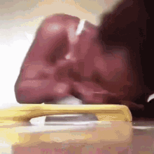 snorting-damn.gif