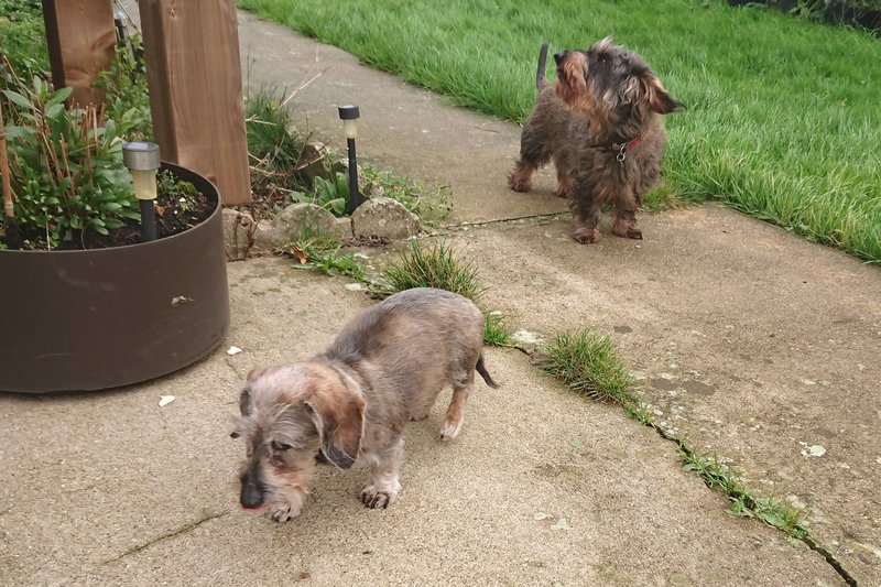 [Image: DSC-3414.jpg]