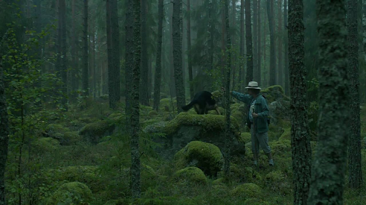Jordskott (2015) - S01E01 - Part I (1080p BluRay x265 r00t)-4