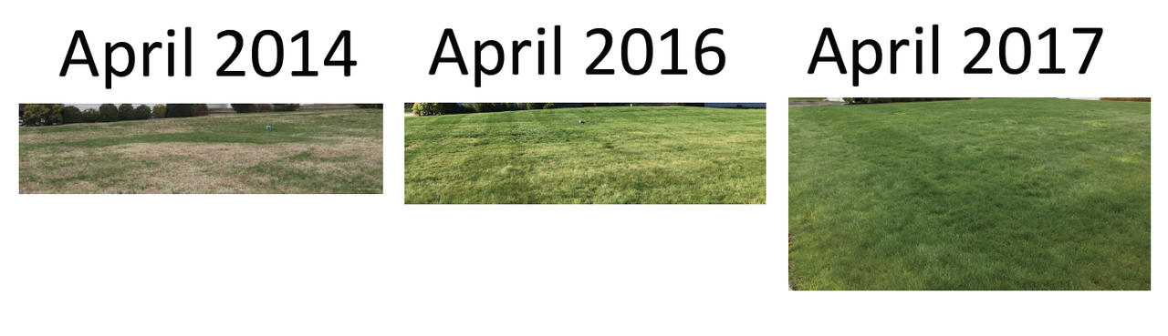 Lawn_201704_201604_vs_201404