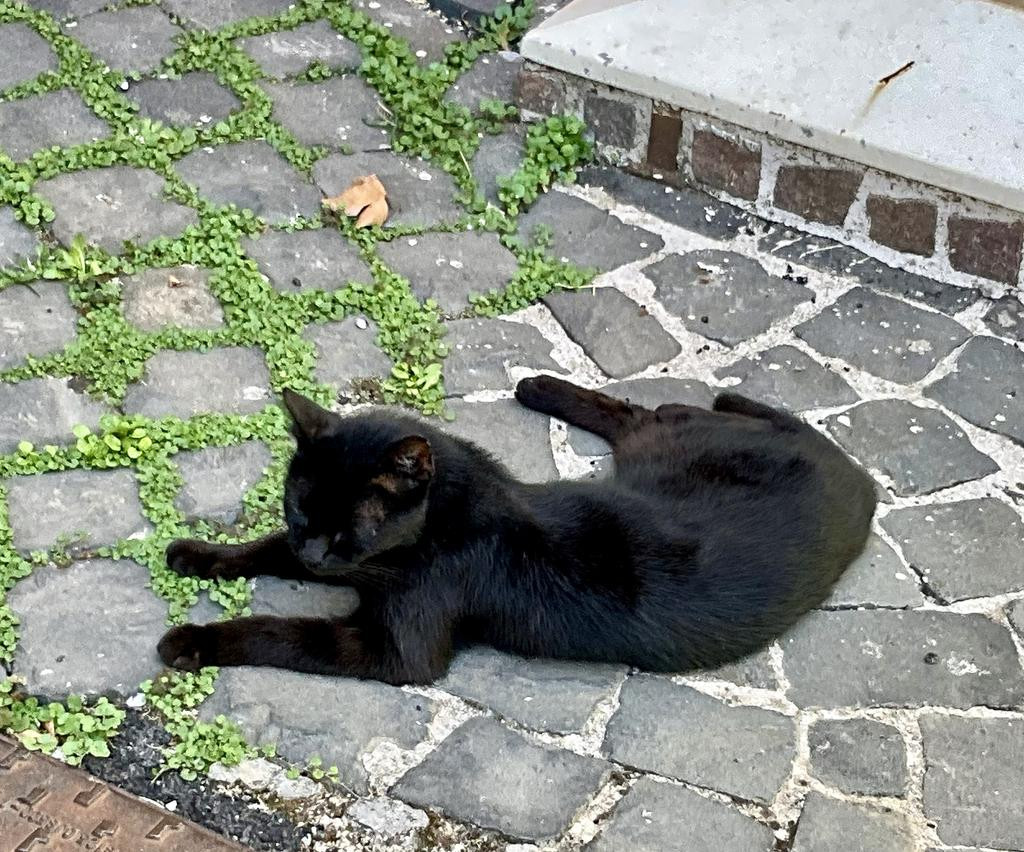 Жаркий сентябрь на побережье Тирренского моря.