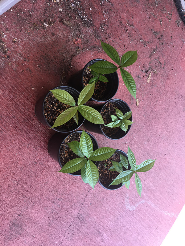 F6504D1D-6FCE-4FB9-804C-00FD7FB1DE7B