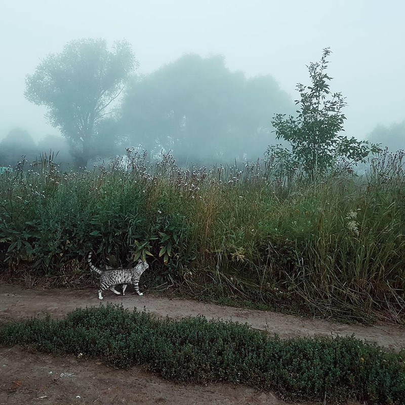 21041396_1859753591010304_8734811501115736064_n