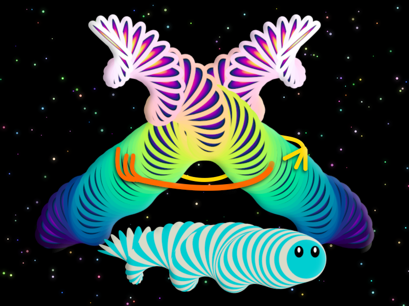 two-with-a-pet.png