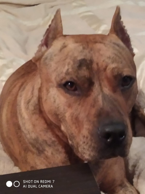 914179FC-0F0C-4AFF-BFB8-AA6891C49D85