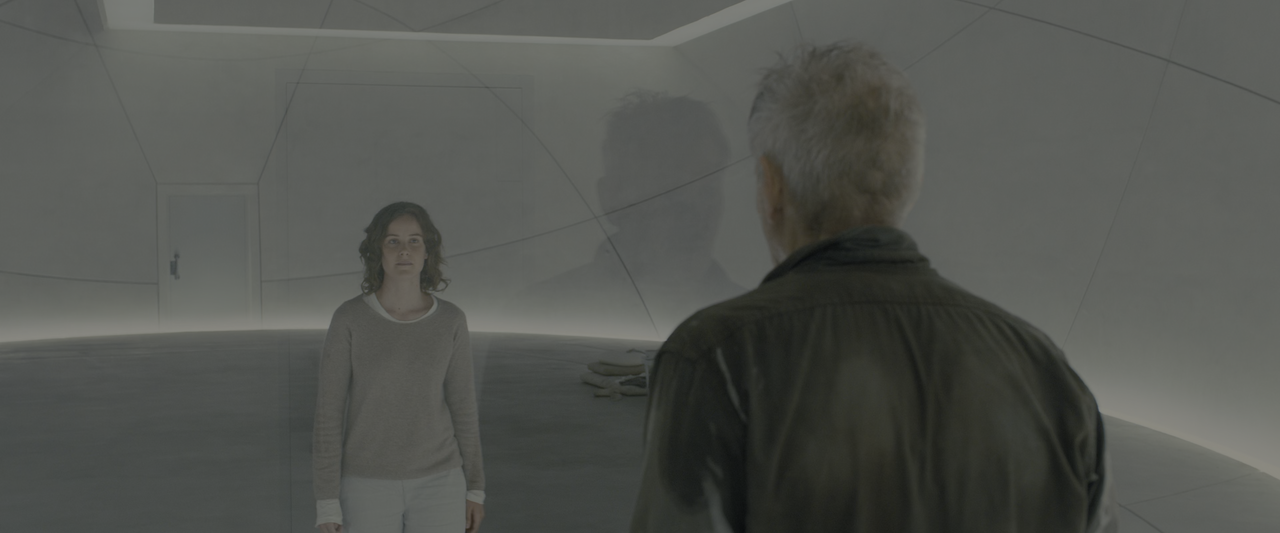 Blade Runner 2049 (2017)  [BluRay Rip 2160p HEVC 10bit-HDR ITA-E