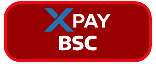 XPay BSC