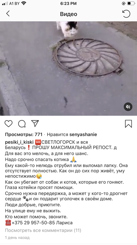 6215E343-EAC0-49EE-8E7A-182CA8EED573