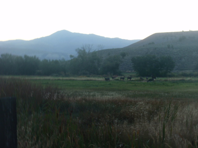 P9231184