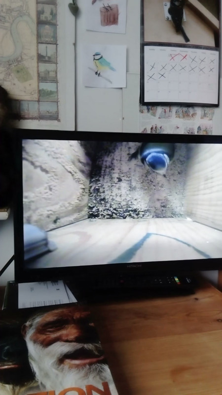 MOV_0577_Trim_Moment(4)