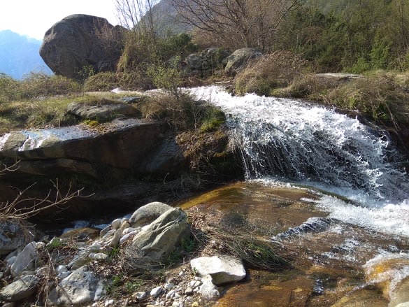 555EEA41-7CFF-4835-B7FA-A18BA4EC24CA