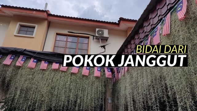 bidai dari pokok janggut