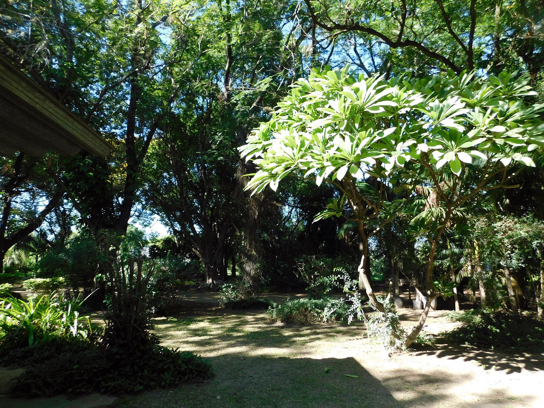 DSCN5664.jpg
