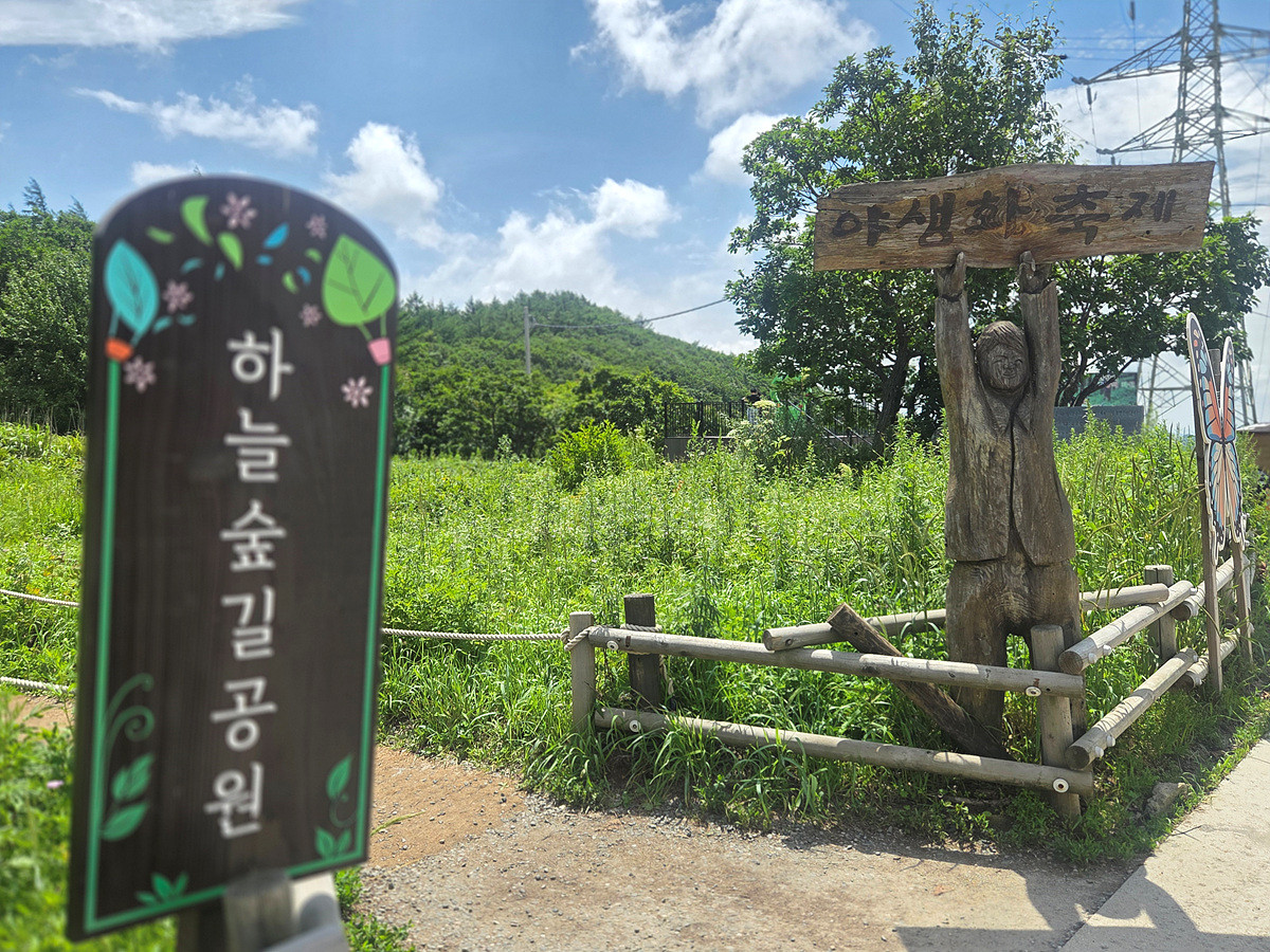 Kakao-Talk-20260726-095017919-12