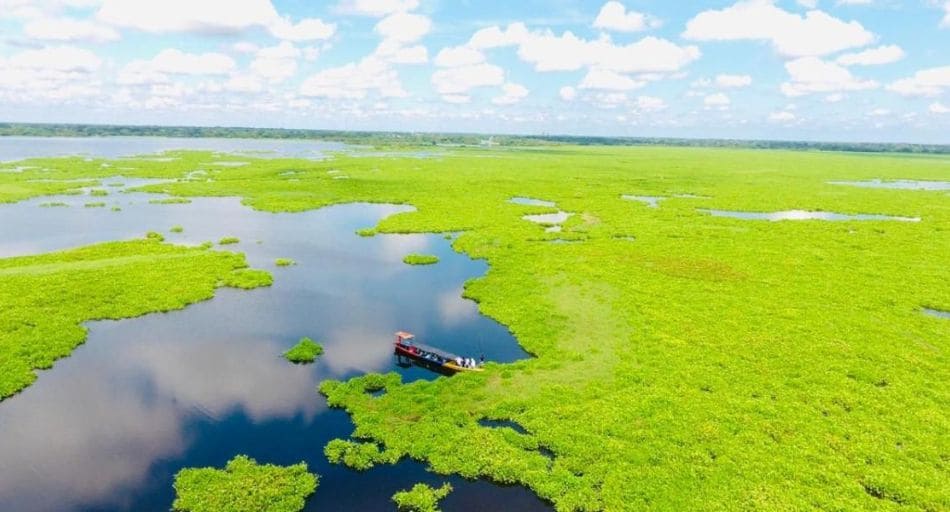 El complejo cenagoso de Zapatosa, localizado entre los departamentos del Magdalena y el Cesar, está conformado por un gran número de lagunas, que están conectadas por caños.