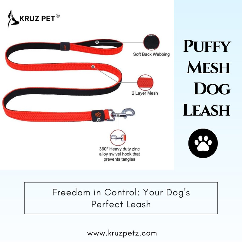 Perfect Leash for Your Dog's