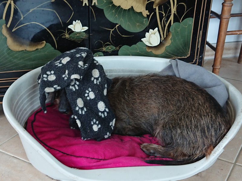 [Image: DSC-2545.jpg]