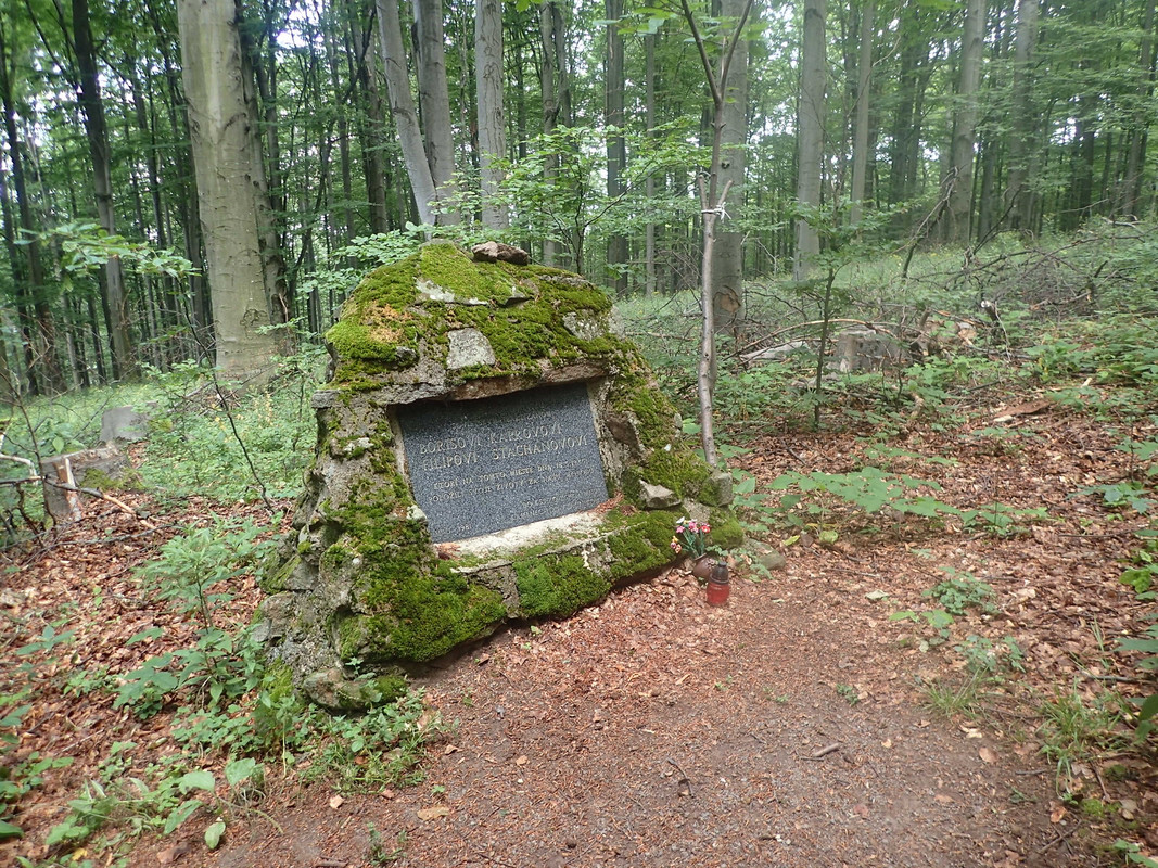 2019_0714VTACNIK_TG0042