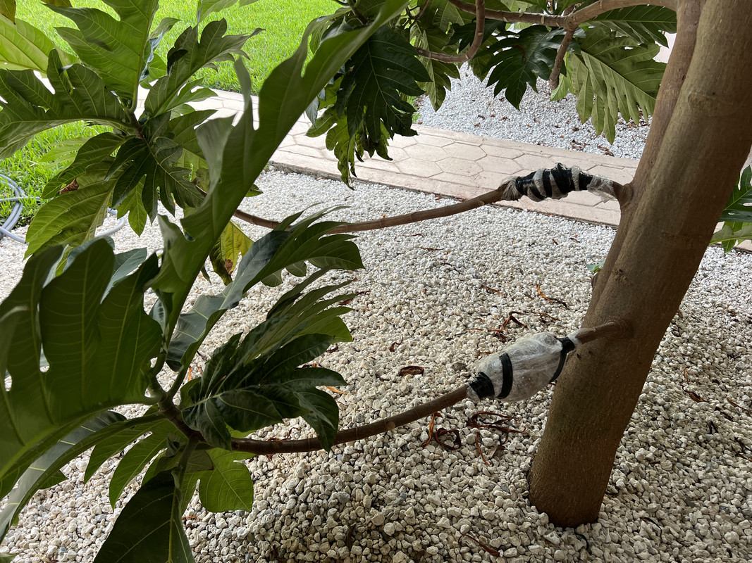 73897C76-50BA-48F7-B275-0849ED7FF7DC