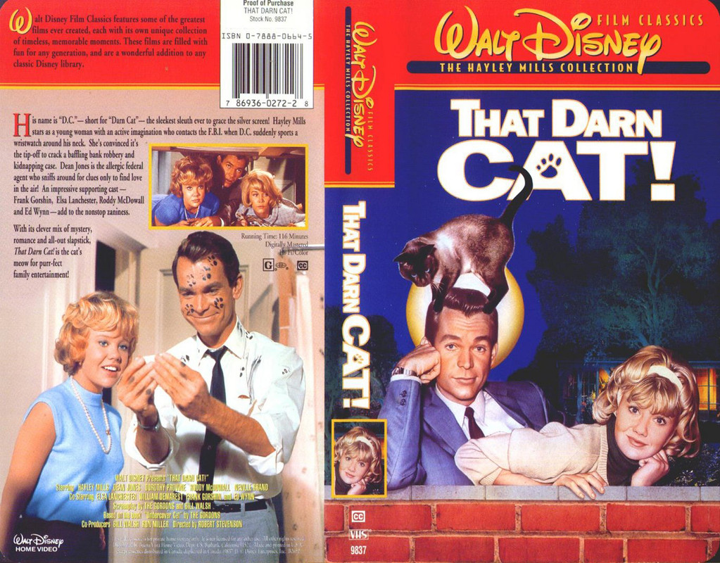 06-THAT-DARN-CAT