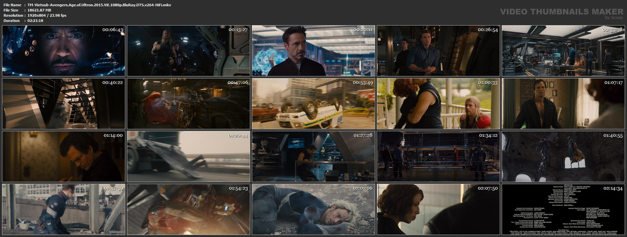TM-Vietsub-Avengers-Age-of-Ultron-2015-Vi-E-1080p-Blu-Ray-DTS-x264-Hi-Fi-mkv.jpg