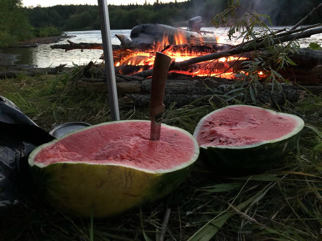 A57224F5-4C75-4D6E-979B-56FF627EBE7A