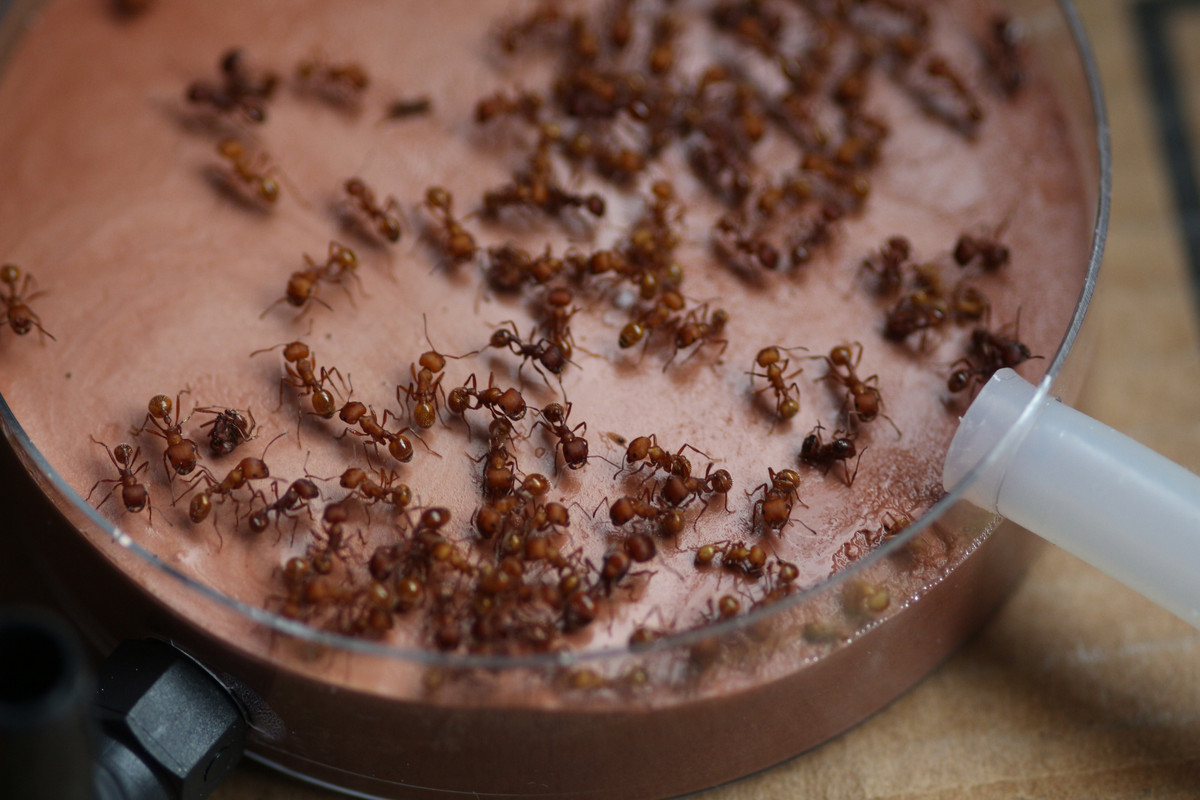 20B42BE6-ECF9-427D-8207-0D5A78B2BADF