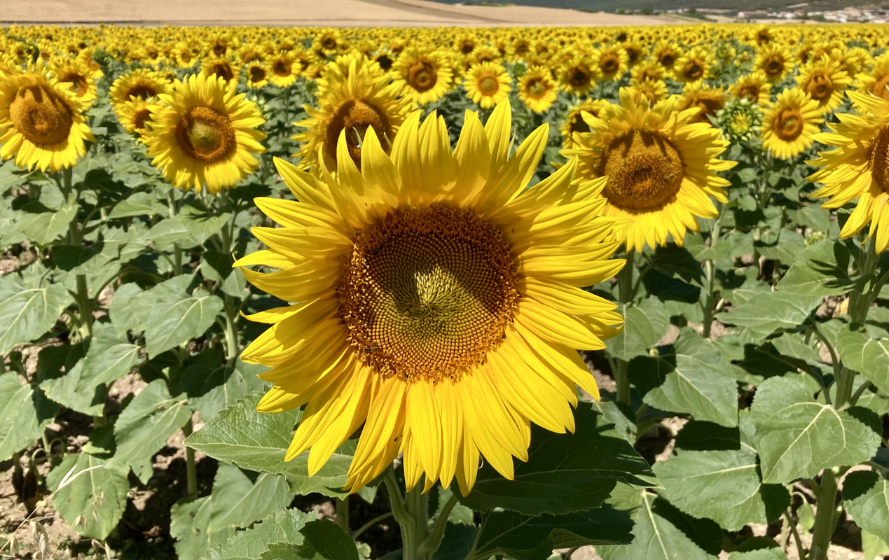 D471175E-069F-4D10-9C3F-AE7A00AFFE69