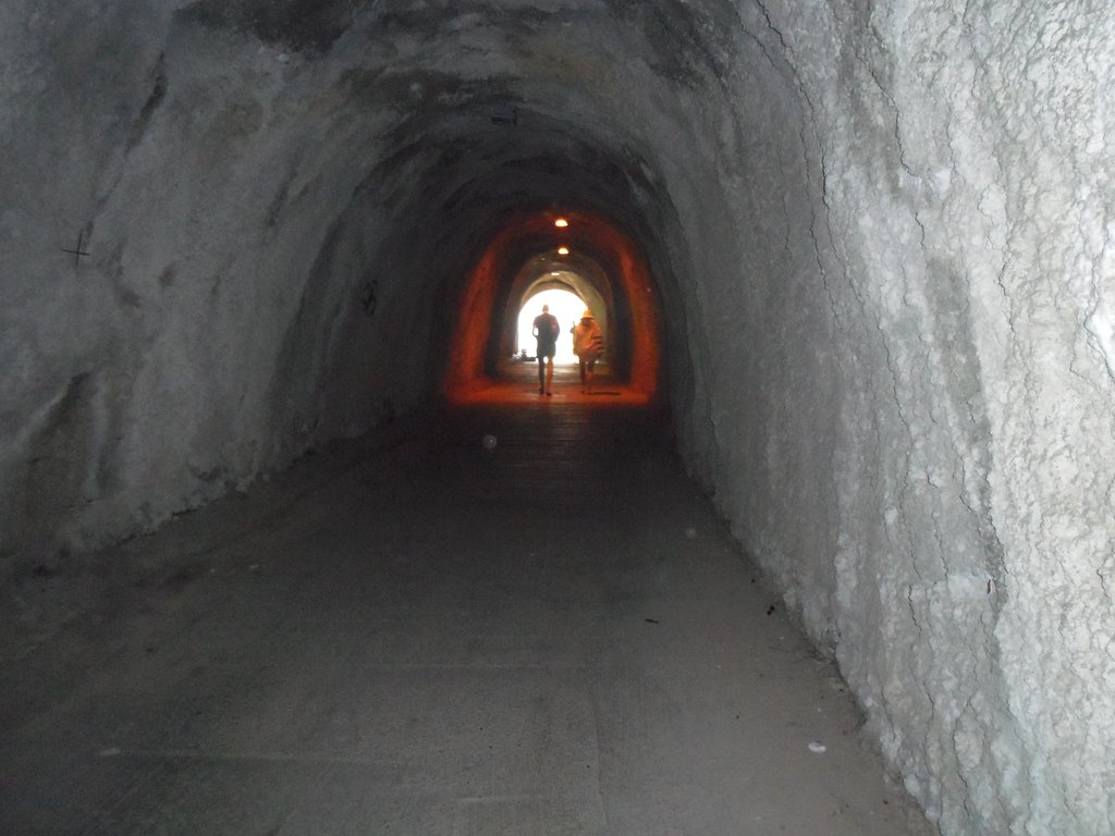 [Linked Image]