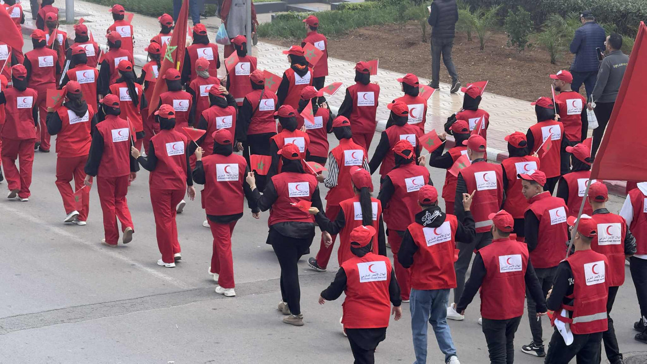 ad98e377-b1f6-4c31-b7c4-29c25192c8ca