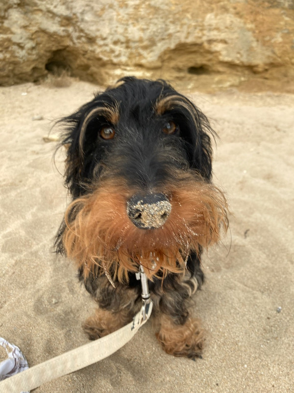 [Image: IMG-20250801-144243.jpg]