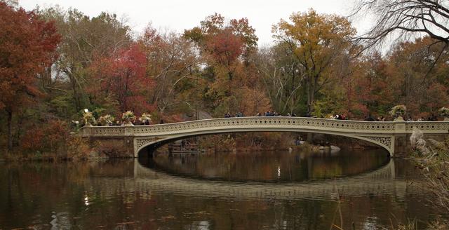 Cómo sobrevivir a Thanksgiving y Black Friday en Nueva York - Blogs of USA - Domingo de Gospel y Central Park (3)