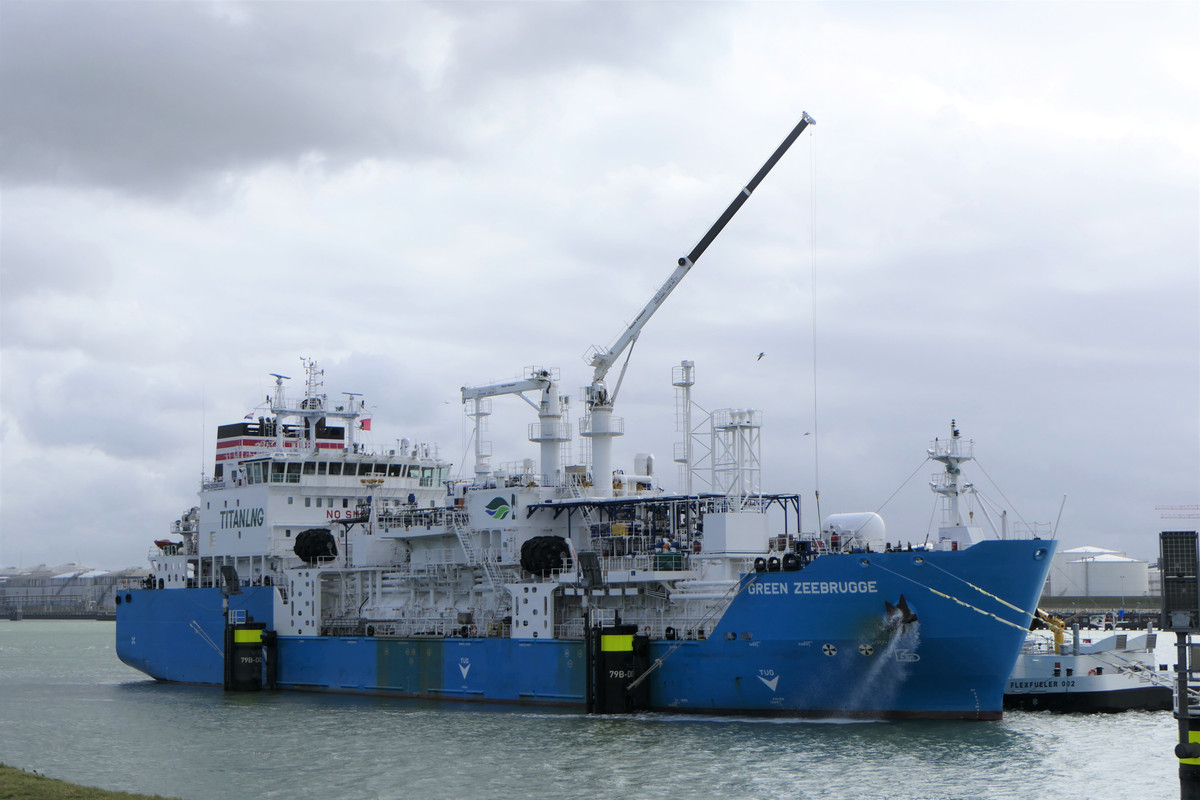 GREEN ZEEBRUGGE@Calandkanaal 14.03 (6)