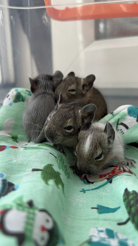 EC8D495A-2B7C-4C73-B1DB-422018FEF789