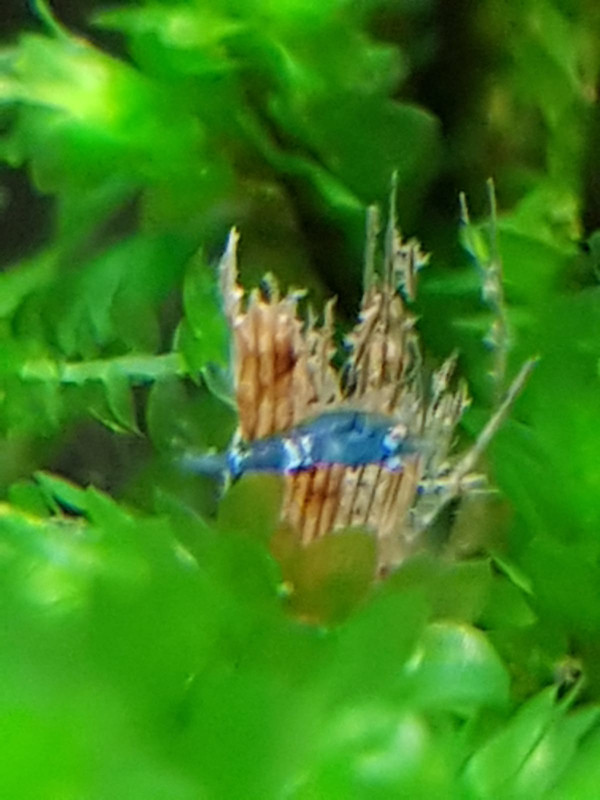 2068A4F2-9F0D-4DCC-8F45-52FB29914182