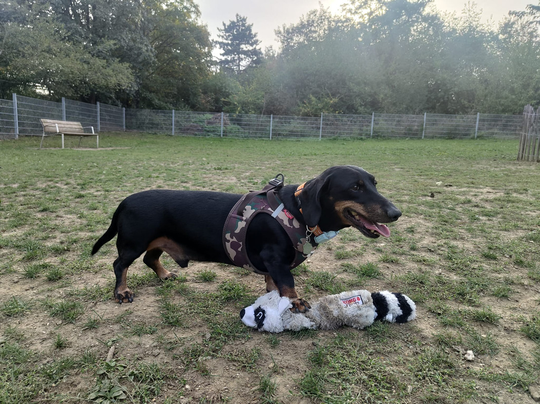 [Image: IMG-20251009-WA0011.jpg]