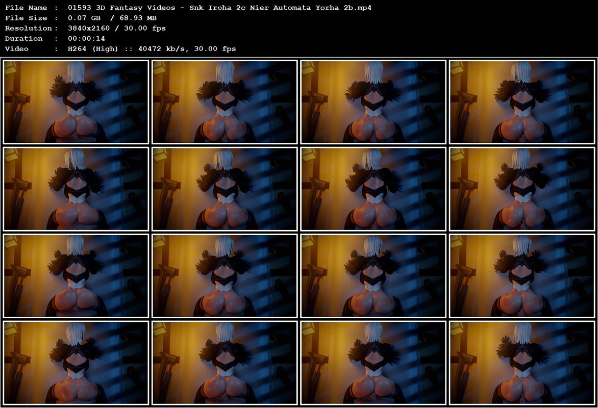 01593 3D Fantasy Videos - Snk Iroha 2c Nier Automata Yorha 2b.mp4