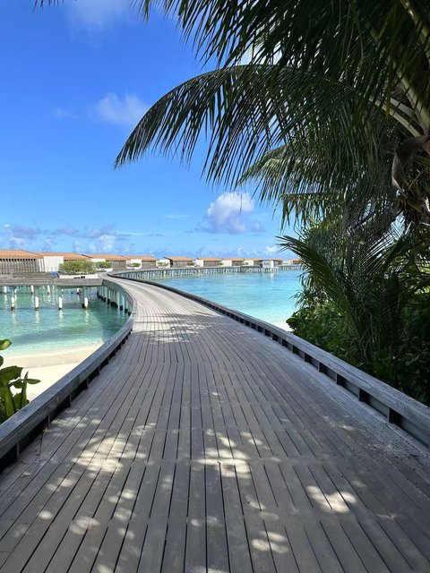 Re: [問卦] 馬爾地夫是不是過譽了？