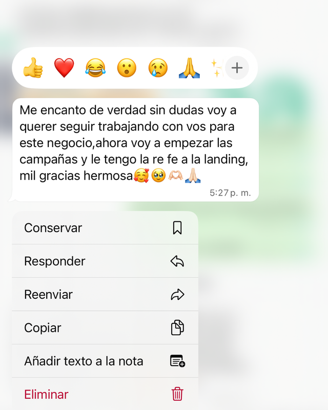 Reseña 7